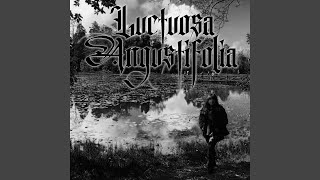 Download Lagu Mátame