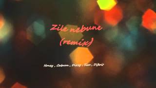 Cabron , Dizzy , Honey , Sisu , Diferit - Zile Nebune Remix