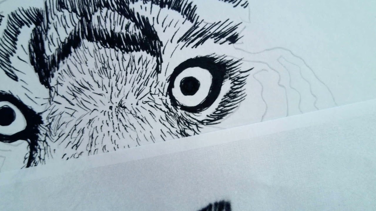 Texture Assignment: Tiger Drawing example