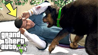 GTA V PC Chop Kills Franklin (Editor Rockstar Movie Cinematic Short Film) @TomHeer