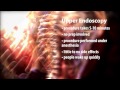 Upper Endoscopy Explained By Dr Simon Cofrancesco