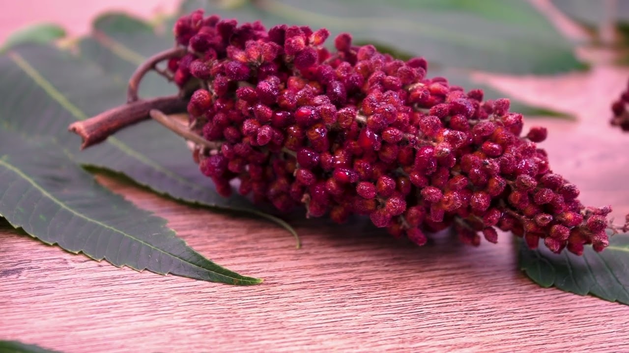 The Cream – The Official Herbal Face Food