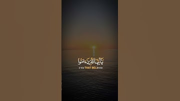 اللهم اجعل القرآن الكريم ربيع قلوبنا ونور صدورنا #القرآن_الكريم #المصحف #اكسبلور #المغرب #راحة_نفسية