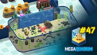 Megaquarium Developer Vlog#47: First shark tank! (playtesting pt 10)