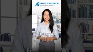 What is RICEFW in SAP? | Must-Know for SAP Consultants | RICEFW | Rise Infotech