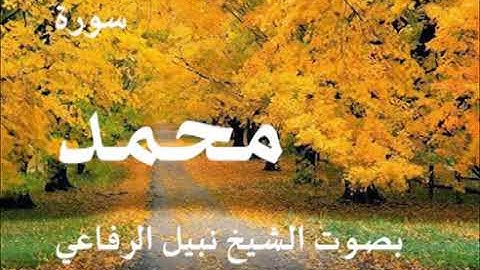 سورة محمد بصوت الشيخ نبيل الرفاعي(ترتيبها٤٧)مدنيه(آياتها٣٨)(صفحة٣٨)