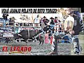 QUE TORAZO MANDO A VOLAR DE FEA MANERA A JUANJO PELAYO DE RANCHO EL LEGADO EN COLUSA CA.2022