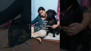 moly labrador jiskeaanesemukammalhogayithizindagisong whowillbemylifepartn sarbebhabantusukhina