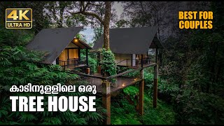 Tree House | Munnar | 4K UHD | Bison Valley | Couples | Family | Bachelors | Vlog #20