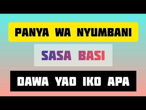 Kama Unasumbuliwa Na Panya Nyumbani Dawa Iko Hapa