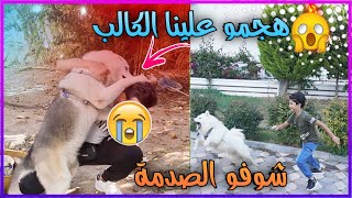 ما توقعنى الكلاب ‍?هيك يهجمو علينا  مؤثر  || يزن الاسطورة  || PUBG MOBILE