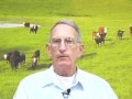 Bull to Cow Ration Bull to Cow Ration