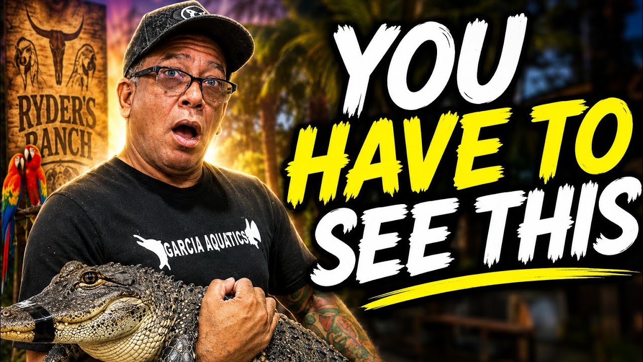 🔥 INSANE Reptile Show Tour! Rare Snakes, Amazing Animals & More! | Garcia Aquatics 🔥