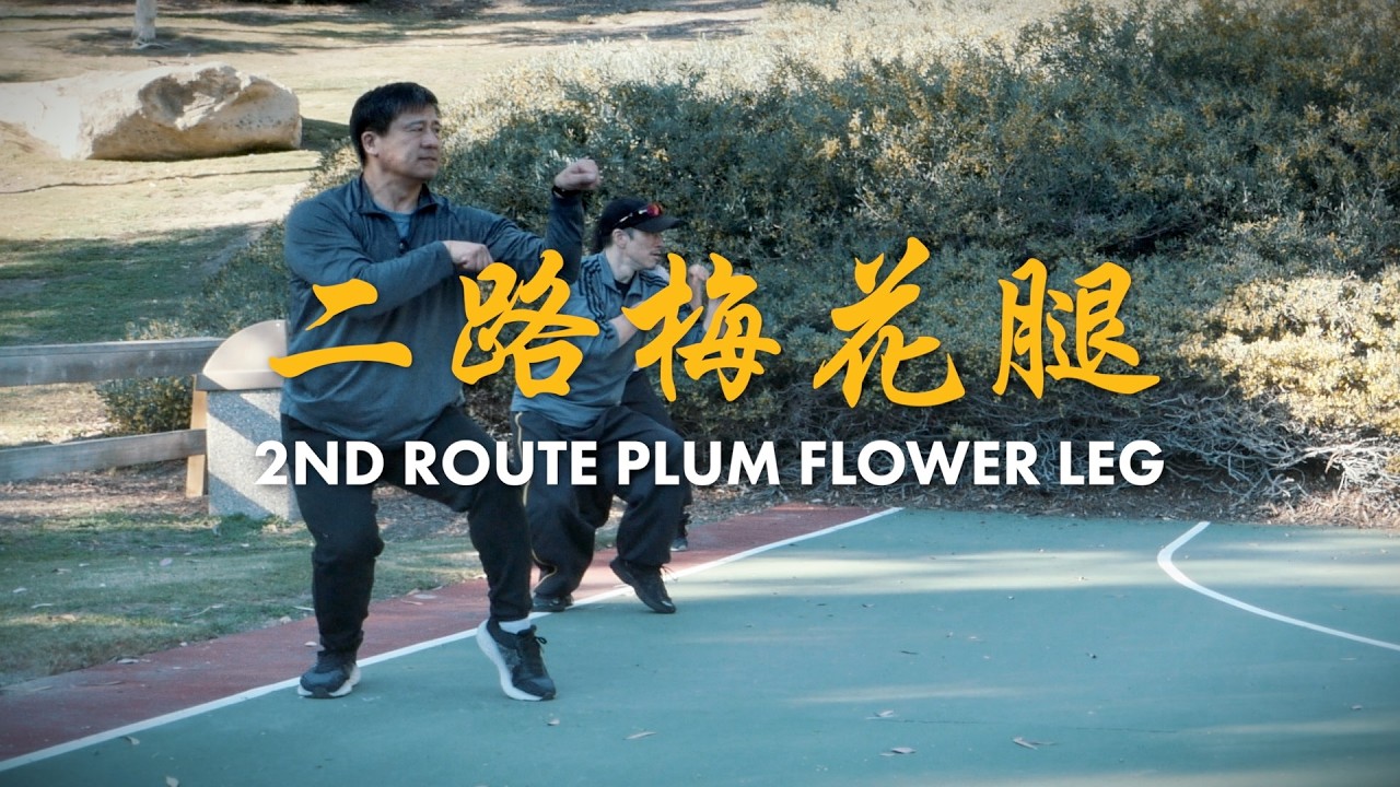 Route 2 of Plum Blossom Leg | Grandmaster John Cheng