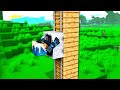 MINECRAFT NON HA SENSO