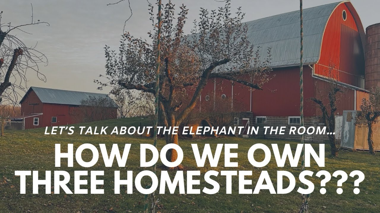 Как позволить себе домашний участок (один источник дохода для семьи из 10 человек) #домашнееуправ...