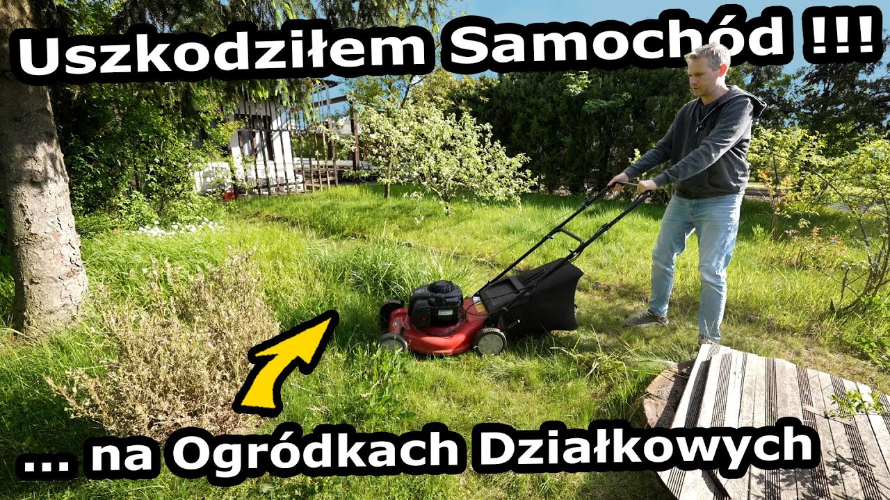 Jadę do Szwajcarii !!! - W domu denerwuje mnie Internet! *Co z Siedliskiem? Czy są postępy? (#932)