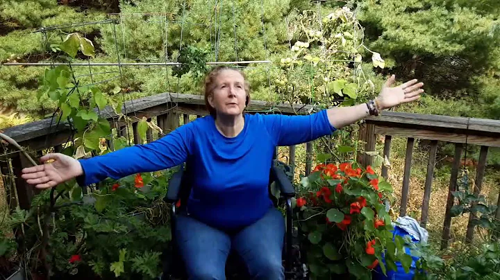 Qigong with Winifred Boyd - Chair/Wheelchair Qigon...