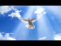 Prayers for Peace | Healing Meditation | Angel Voices | Powerful Blessing