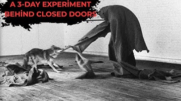 Art or Madness? Joseph Beuys’ Shocking Performance