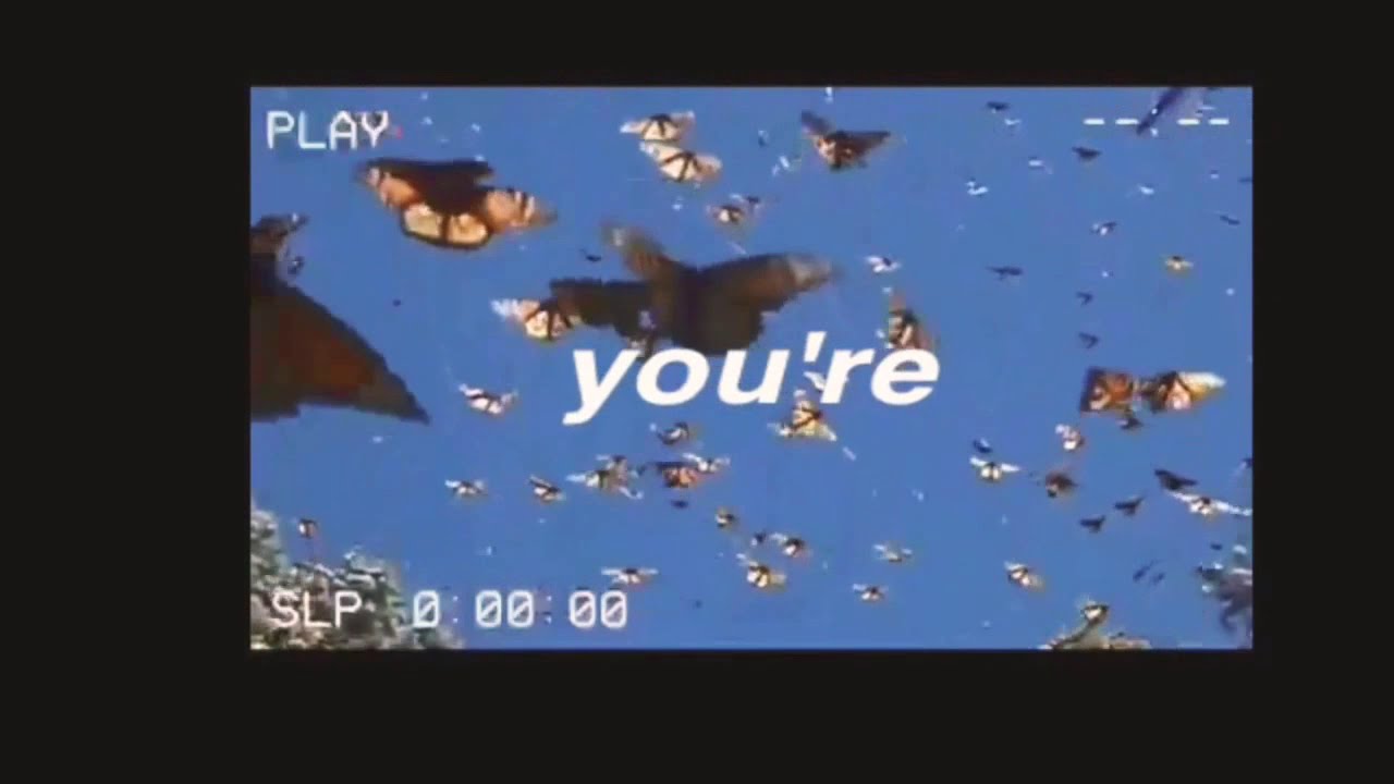 sunny fairy - intro /credits in description/