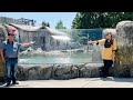 Maryland Zoo (Family Fun) 2023