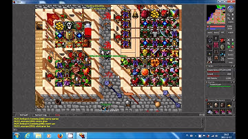 Tibia Hexana Net Pk 2