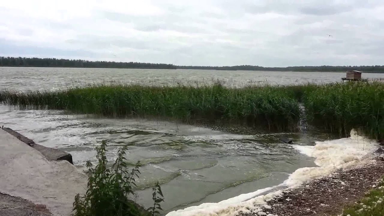 Озеро большой нарык тюмень Озеро большой нарык тюмень