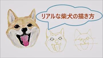 イラスト 描き方 年賀状にも使える かわいい犬のイラスト描いてみたよ How To Draw Illustrations I Drew Cute Dogs Mp3