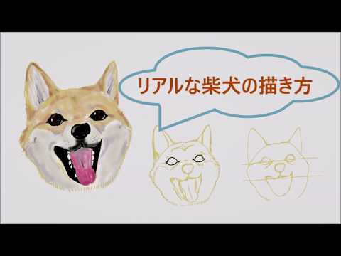 イラスト 可愛く癒される 柴犬の描き方 Youtube