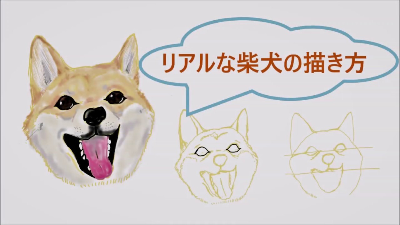 イラスト 可愛く癒される 柴犬の描き方 Youtube