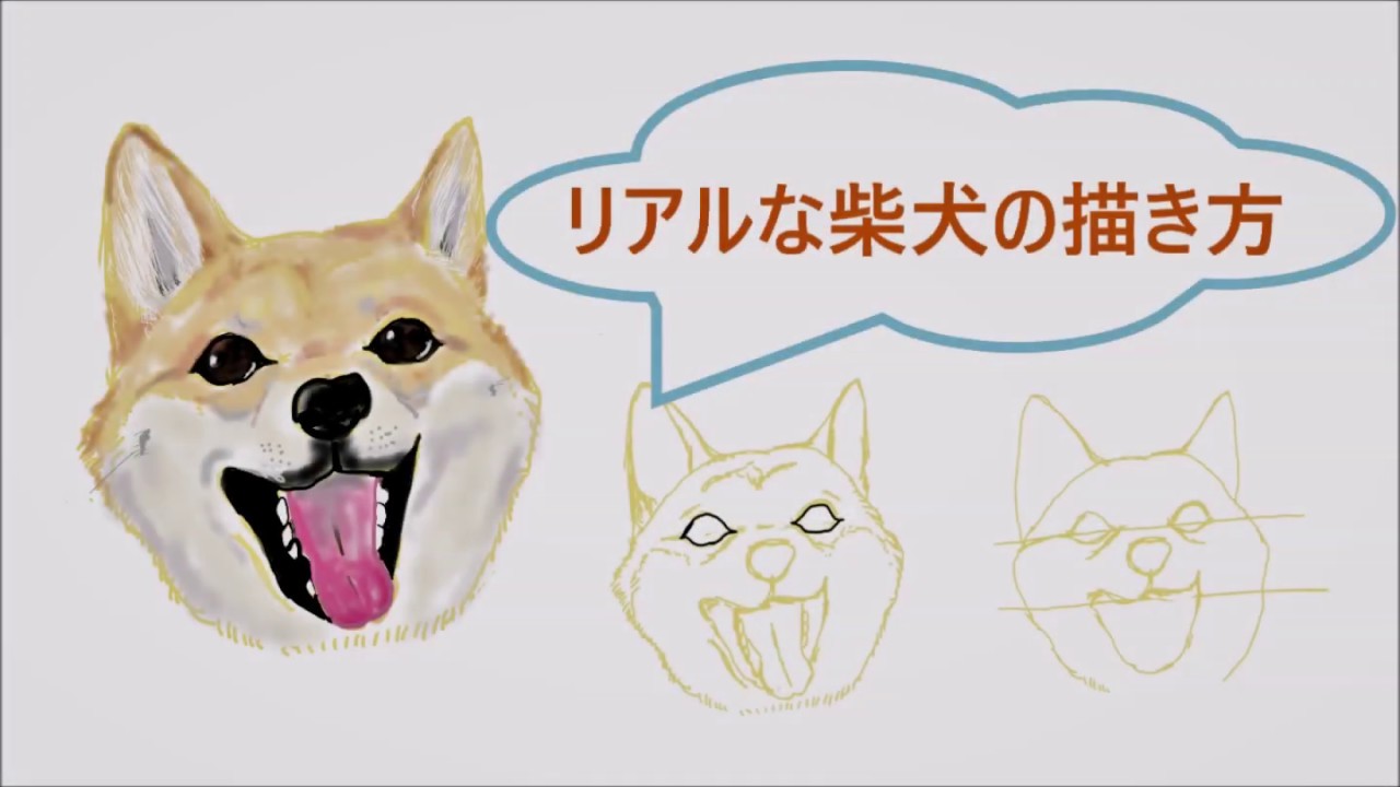 イラスト 可愛く癒される 柴犬の描き方 もりやまよしあき 発達障害 It マネタイズラボ ホンマル ラジlive メインパーソナリティー Note