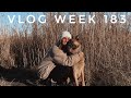 VLOG WEEK 183 - CHRISTMAS | JAMIE GENEVIEVE