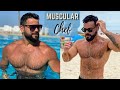 Muscular Private Chef - Hairy Big Body