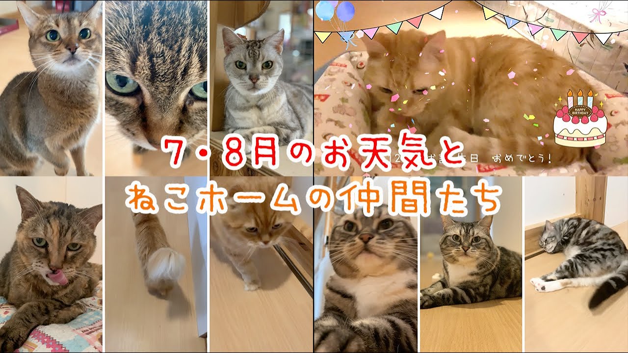 YouTubeに動画をアップしました。