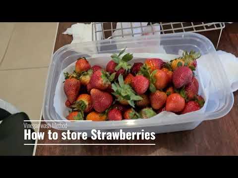 How to store strawberries - YouTube