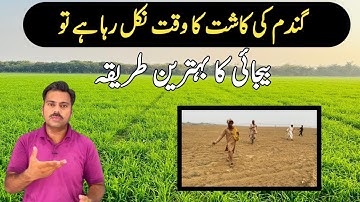 The best method for wheat seed sowing | Dry sowing drill method for wheat seed | Abid Ali Agrarian