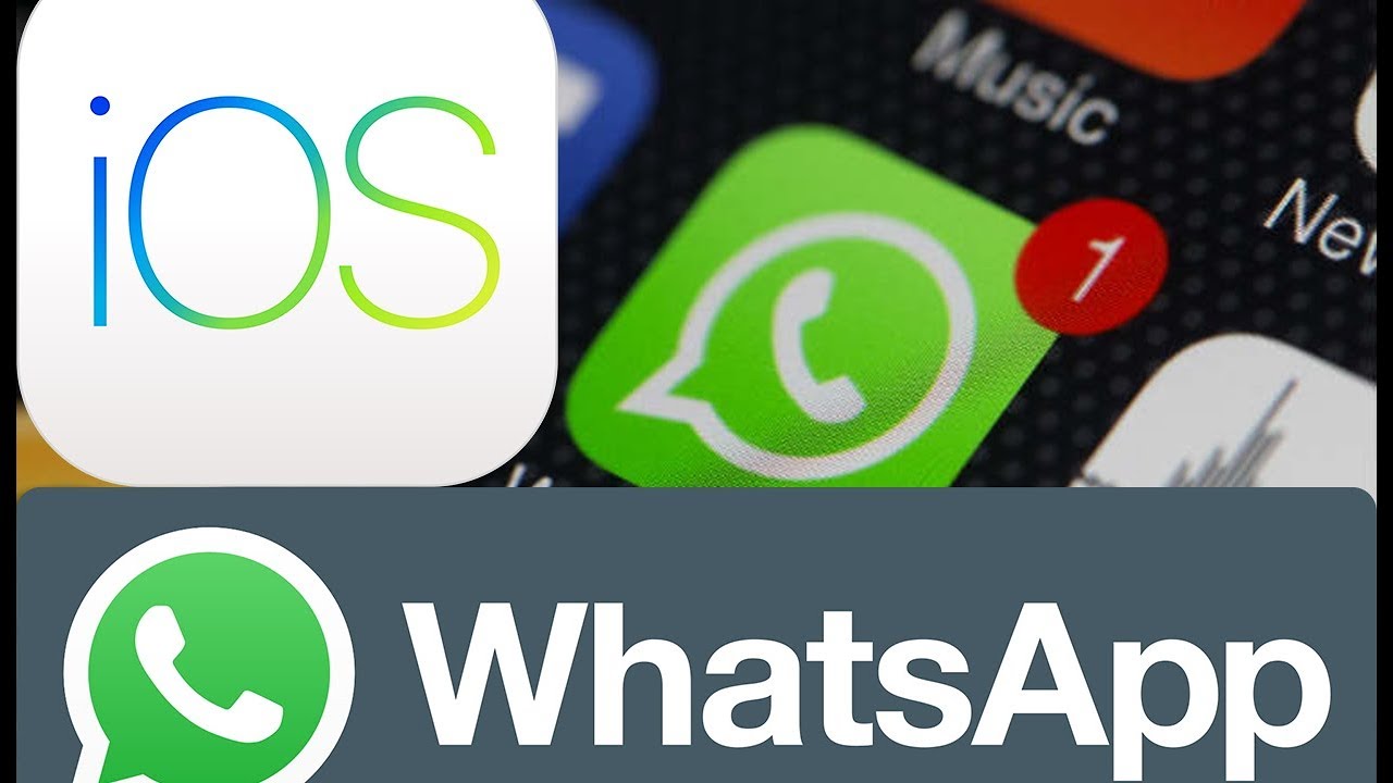 Recuperar Conversaciones Eliminadas De Whatsapp Iphone Youtube