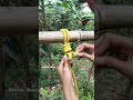 Tips and trick  #knot #rope #a #diy #handmade #camping #outdoor #turorial