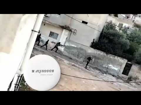 مشاجرة جماعية في الصريح اربد استخدمت بها الاسلحة النارية