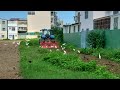 20260621「鷺鷥及巴哥同學會」直播！