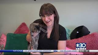 New cat lounge aims to battle overpopulation