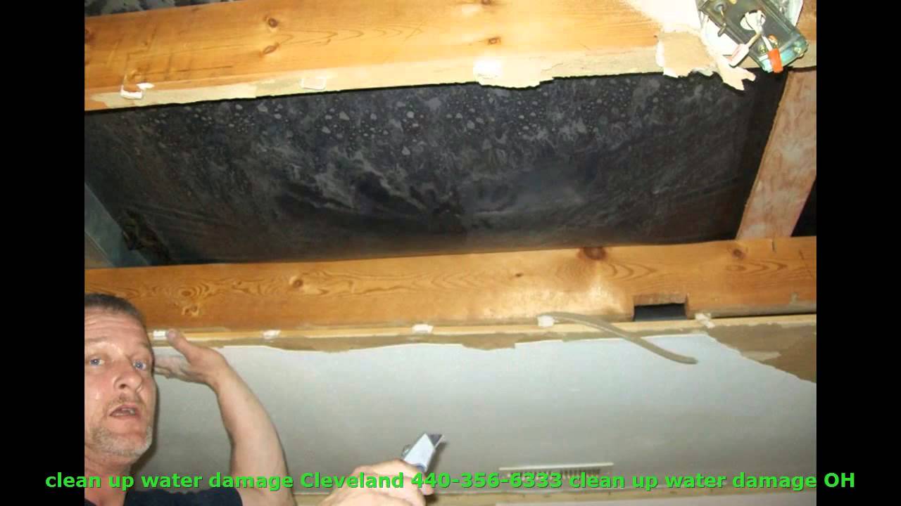 Clean Up Water Damage Cleveland Cost 440 356 6333 Ceiling Repairs