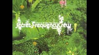Secret Frequency Crew- Photovoric Inchworms