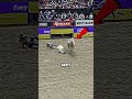Rodeo Moment Nobody Expected 😳