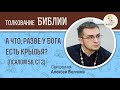 А что, разве у Бога есть крылья? (Псалом 56, Стих 2) Священник Алексей Волчков. Толкование Псалтири