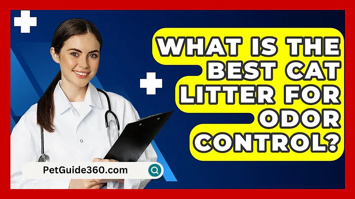 What Is The Best Cat Litter For Odor Control? - PetGuide360.com