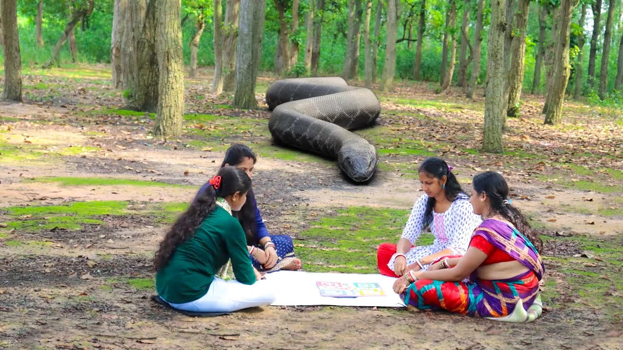 Anaconda Snake Attack On Village Girl In Forest | Ludo Playing Time