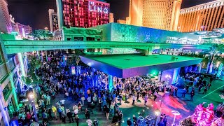 LAS VEGAS LIVE! My Birthday Surprise Trip on the Strip - December 4, 2023