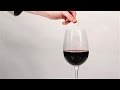 Wine in a Blender? Tricks to Make a Bottle of Wine Taste Better